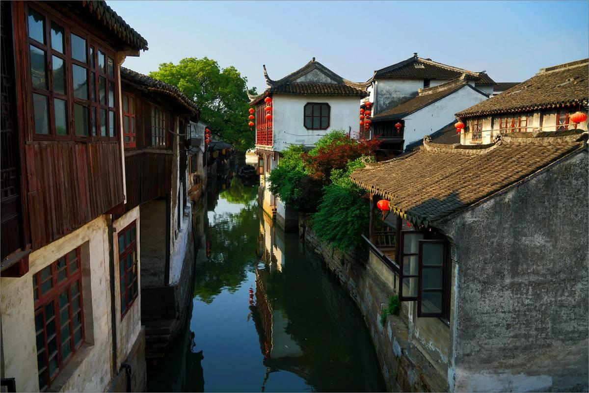 蜂王救援